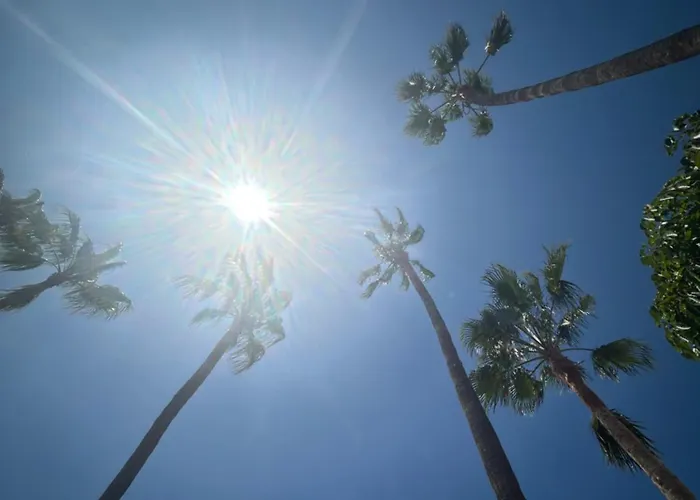 Tagoro Park Lejlighed Costa del Silencio